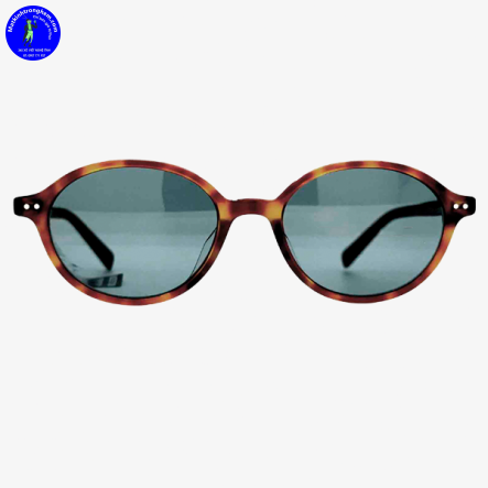 Kính Mát Molsion MS3115-A28 UV Protection Chính Hãng