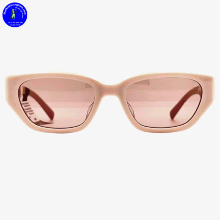 Kính Mát Molsion MS3100-A33 UV Protection Chính Hãng