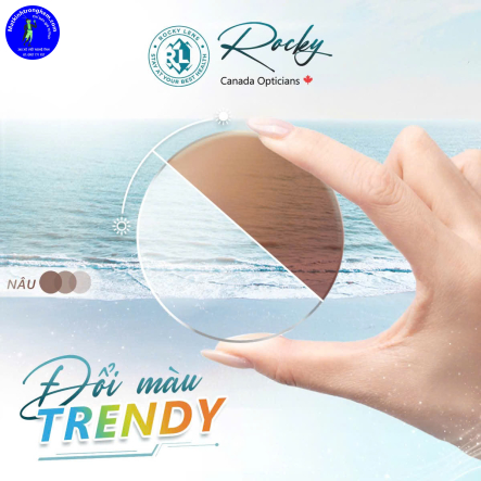 TRÒNG KÍNH ĐỔI MÀU TRENDY ROCKY 1.56- ĐỔI MÀU TRÀ