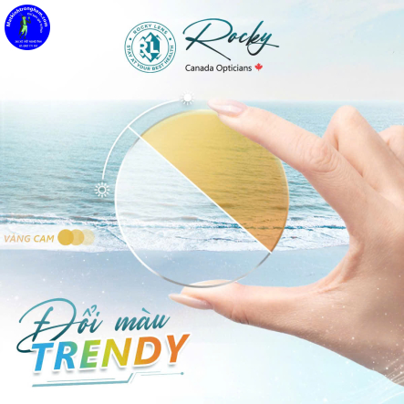 TRÒNG KÍNH ĐỔI MÀU TRENDY ROCKY CANADA 1.56- ĐỔI MÀU VÀNG