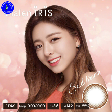 KÍNH ÁP TRÒNG 1 NGÀY MÀU SOUL BROWN - interojo HÀN QUỐC