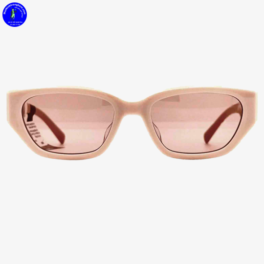 Kính Mát Molsion MS3100-A33 UV Protection Chính Hãng